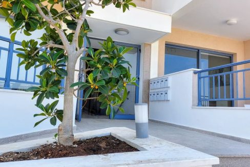 239940754_102996582106847_565548428499893717_n - Copy