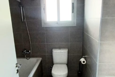 WhatsApp Image 2025-08-08 at 11.32.47